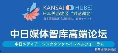 湖北新闻媒体爆料,重大事件引发社会关注